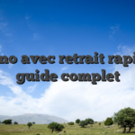 Casino avec retrait rapide — guide complet