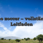 Casino zoccer — vollständiger Leitfaden