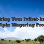Checking Your Ivibet-kasyno Free Spin Wagering Progress