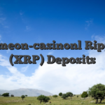 Comeon-casinonl Ripple (XRP) Deposits
