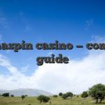 Datonaspin casino — complete guide