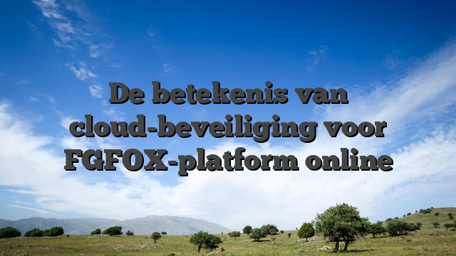 De betekenis van cloud-beveiliging voor FGFOX-platform online