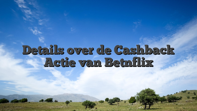 Details over de Cashback Actie van Betnflix