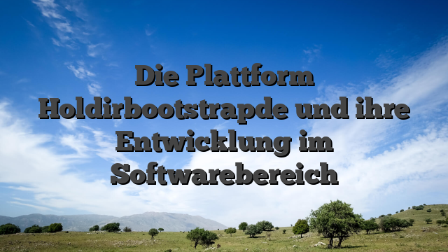 Die Plattform Holdirbootstrapde und ihre Entwicklung im Softwarebereich