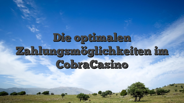 Die optimalen Zahlungsmöglichkeiten im CobraCasino