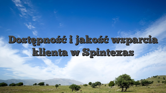 Dostępność i jakość wsparcia klienta w Spintexas