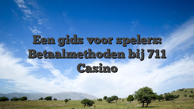 Een gids voor spelers: Betaalmethoden bij 711 Casino