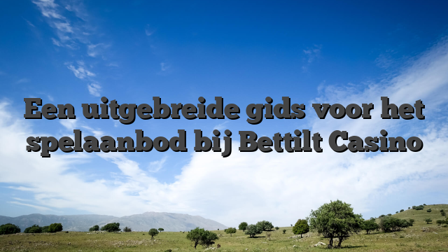 Een uitgebreide gids voor het spelaanbod bij Bettilt Casino