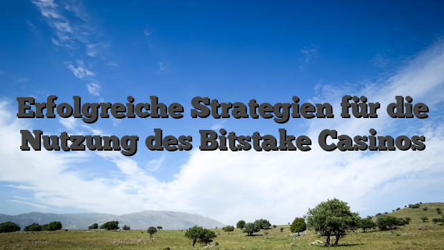 Erfolgreiche Strategien für die Nutzung des Bitstake Casinos