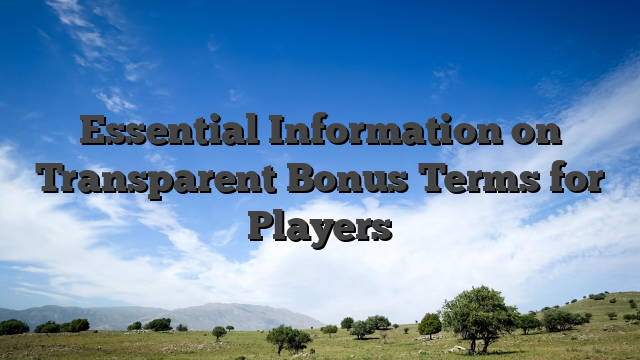 Essential Information on Transparent Bonus Terms for Players