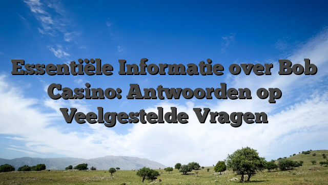 Essentiële Informatie over Bob Casino: Antwoorden op Veelgestelde Vragen