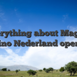Everything about Magius Casino Nederland opening