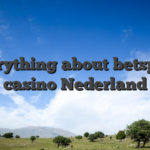 Everything about betspino casino Nederland