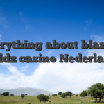 Everything about blazing wildz casino Nederland