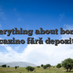 Everything about bonus cazino fără depozit