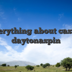 Everything about casino daytonaspin