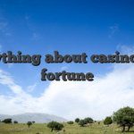 Everything about casino odin fortune