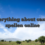 Everything about casino spellen online
