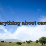 Everything about casino