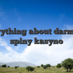 Everything about darmowe spiny kasyno