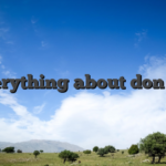 Everything about don bet