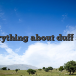 Everything about duff spin