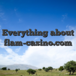 Everything about flam-casino.com