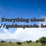 Everything about https://goldenpanda-bet.com