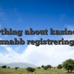 Everything about kasino med snabb registrering