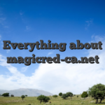 Everything about magicred-ca.net
