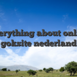 Everything about online goksite nederland