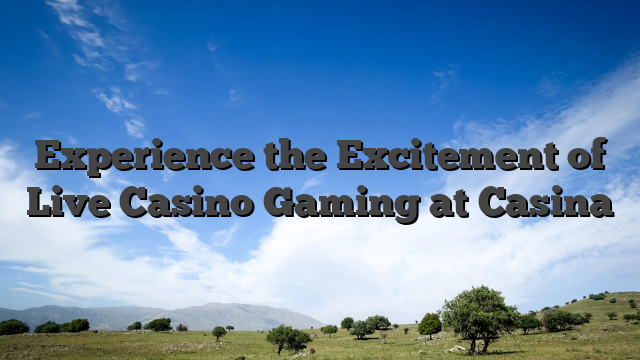 Experience the Excitement of Live Casino Gaming at Casina