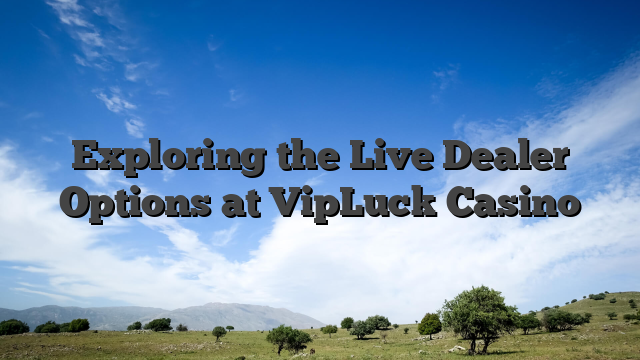 Exploring the Live Dealer Options at VipLuck Casino