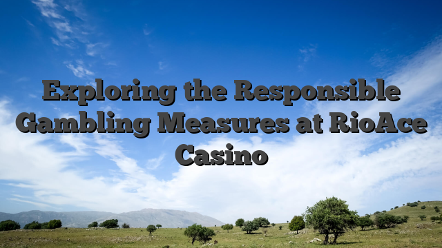 Exploring the Responsible Gambling Measures at RioAce Casino