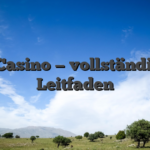 F1 Casino — vollständiger Leitfaden