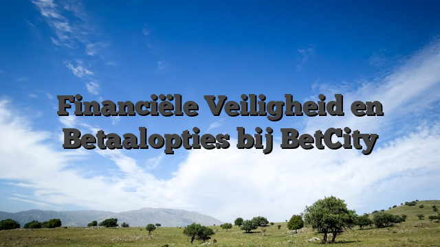 Financiële Veiligheid en Betaalopties bij BetCity