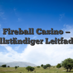 Fireball Casino — vollständiger Leitfaden
