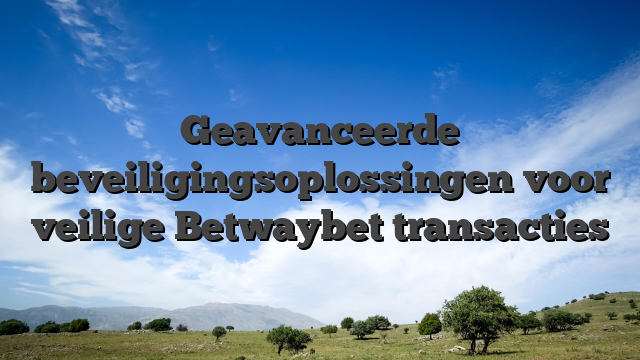 Geavanceerde beveiligingsoplossingen voor veilige Betwaybet transacties