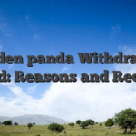 Golden panda Withdrawal Denied: Reasons and Recovery