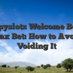 Happyslots Welcome Bonus Max Bet: How to Avoid Voiding It