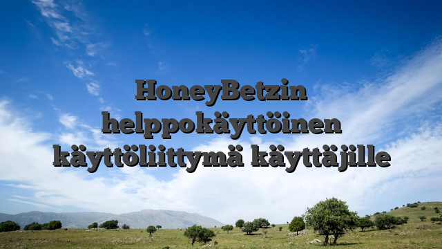 HoneyBetzin helppokäyttöinen käyttöliittymä käyttäjille