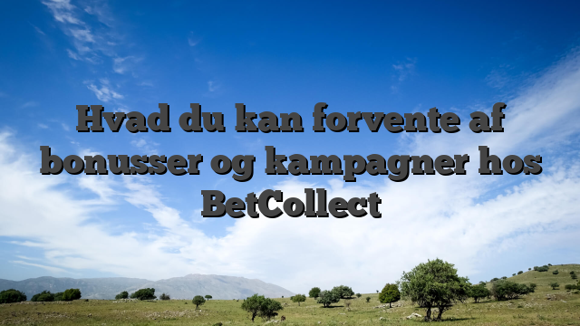 Hvad du kan forvente af bonusser og kampagner hos BetCollect