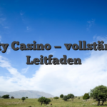 Infinity Casino — vollständiger Leitfaden