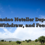 Instasino Neteller Deposit, Withdraw, and Fees