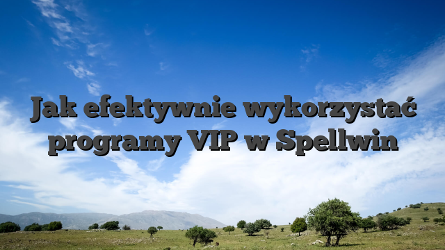 Jak efektywnie wykorzystać programy VIP w Spellwin