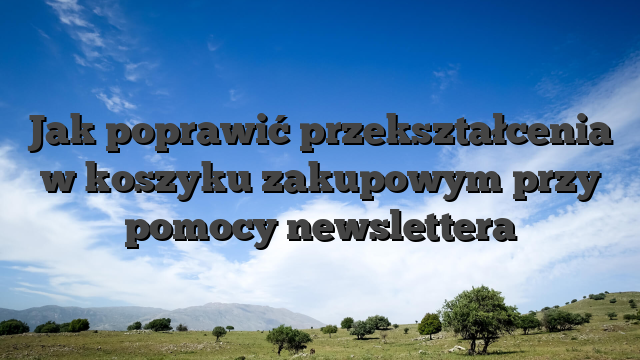 Jak poprawić przekształcenia w koszyku zakupowym przy pomocy newslettera
