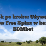 Krok po kroku: Używanie kodów Free Spins w kasynie BDMbet