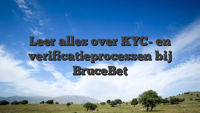 Leer alles over KYC- en verificatieprocessen bij BruceBet