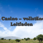 Leon Casino — vollständiger Leitfaden