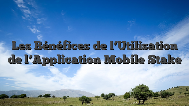 Les Bénéfices de l’Utilisation de l’Application Mobile Stake